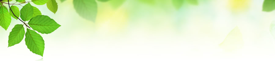 �������x�����_�T���V�F�[�h